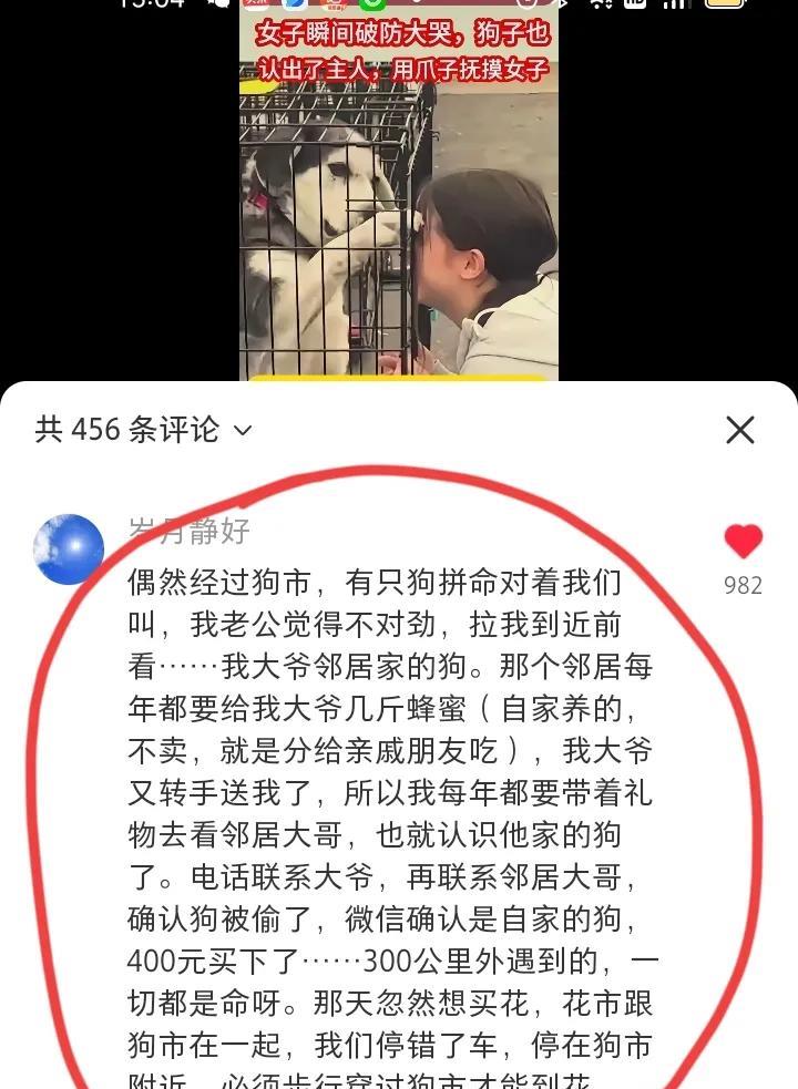 这太玄了，狗命不该绝！