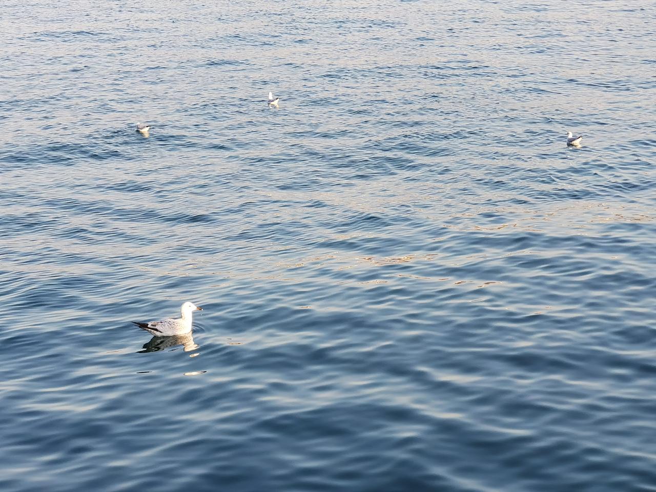 朋友的房子空置三个月了，他宁可空置也不降价出租。他的理由让人不理解。朋友有一