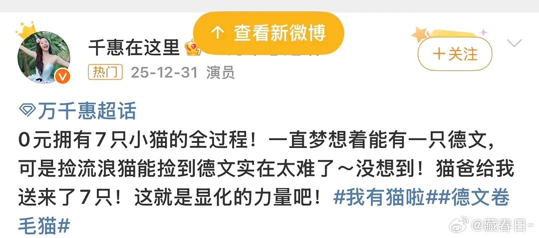 万千惠真的人好像还挺好的，她收养了好多流浪猫狗