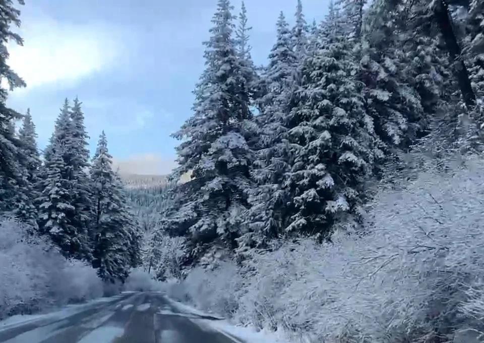 川西童话世界太美,路上比景区美上n倍~在川西的皑皑世界哼唱白色恋歌,这一路高反