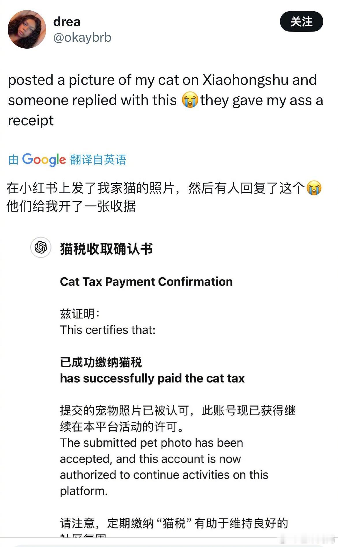 外网热议，🍠人给他们开猫狗税收据🤣