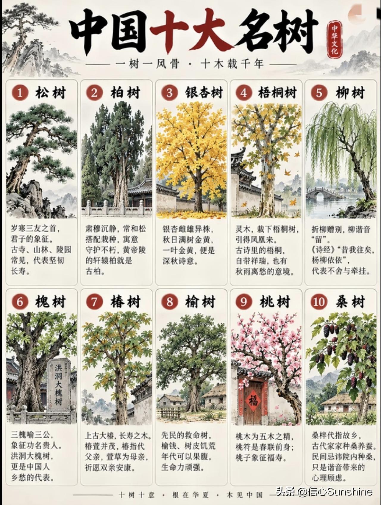 中国十大名树。为什么是它们？