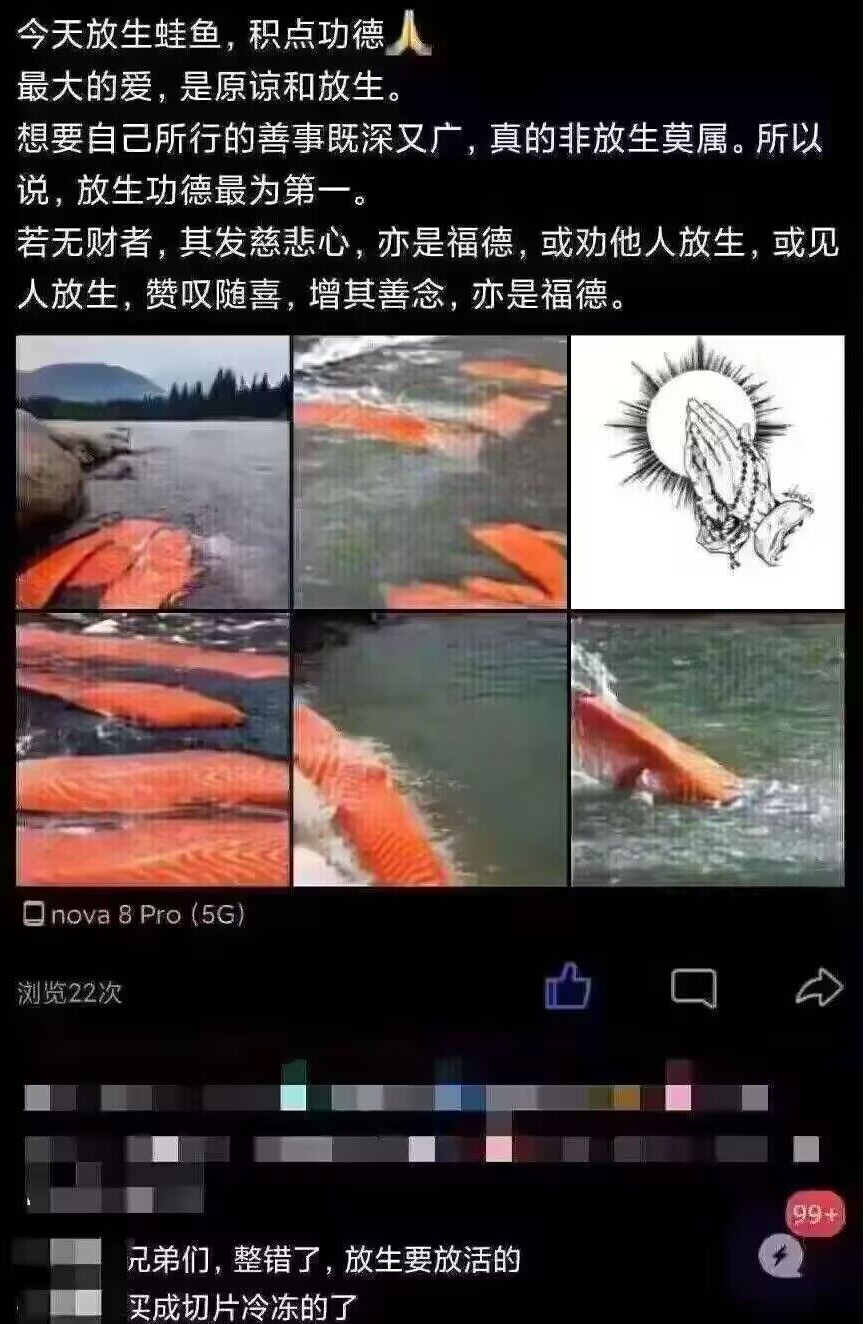 放生蛙鱼,积点功德