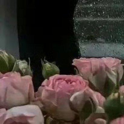 阳光信用[比心]阳光信用[比心]每日一善西瓜的种植方法