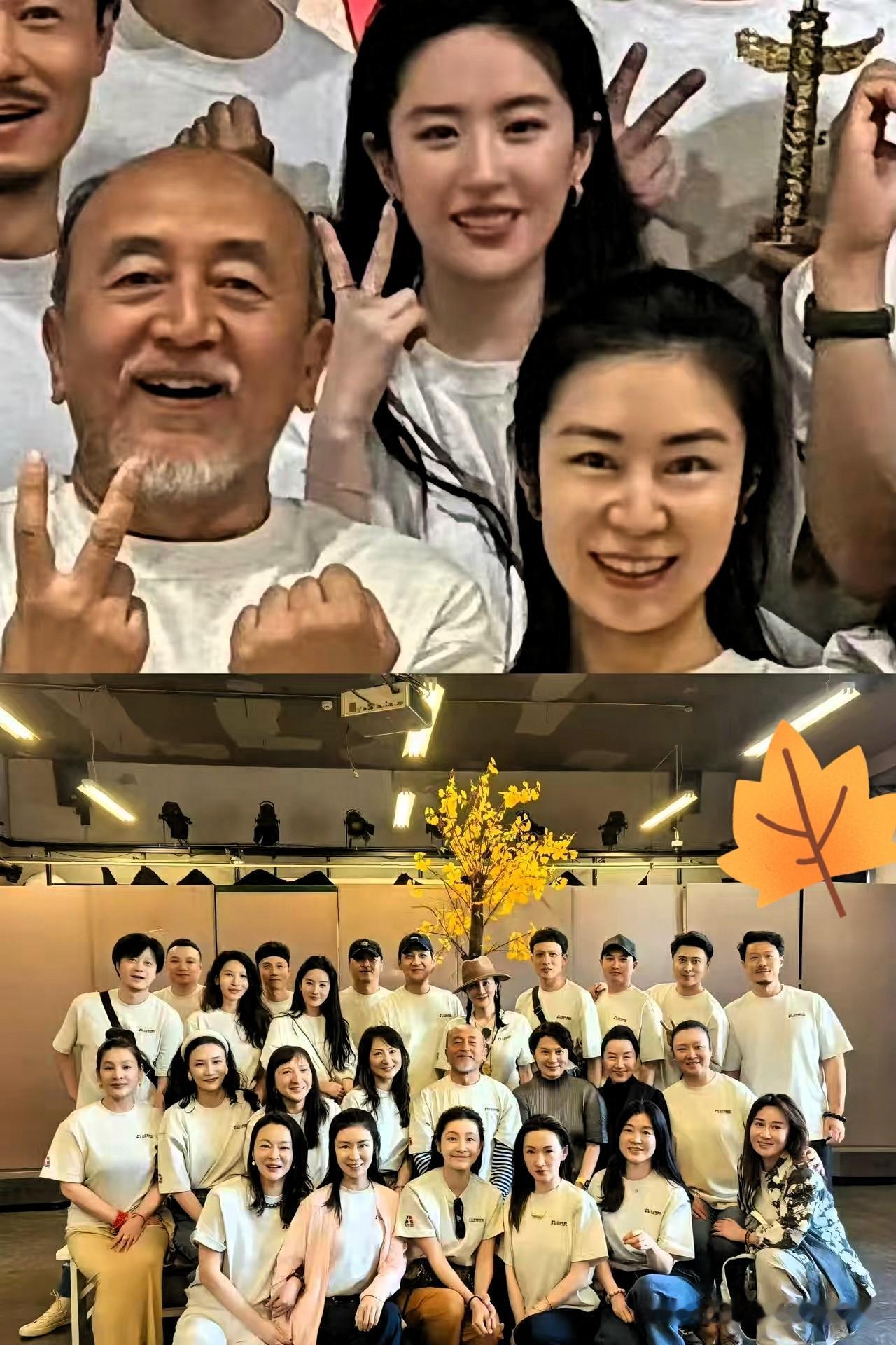 刘亦菲北电同学聚会照，充分反映了一个问题，那就是，他们班的同学除了刘亦菲