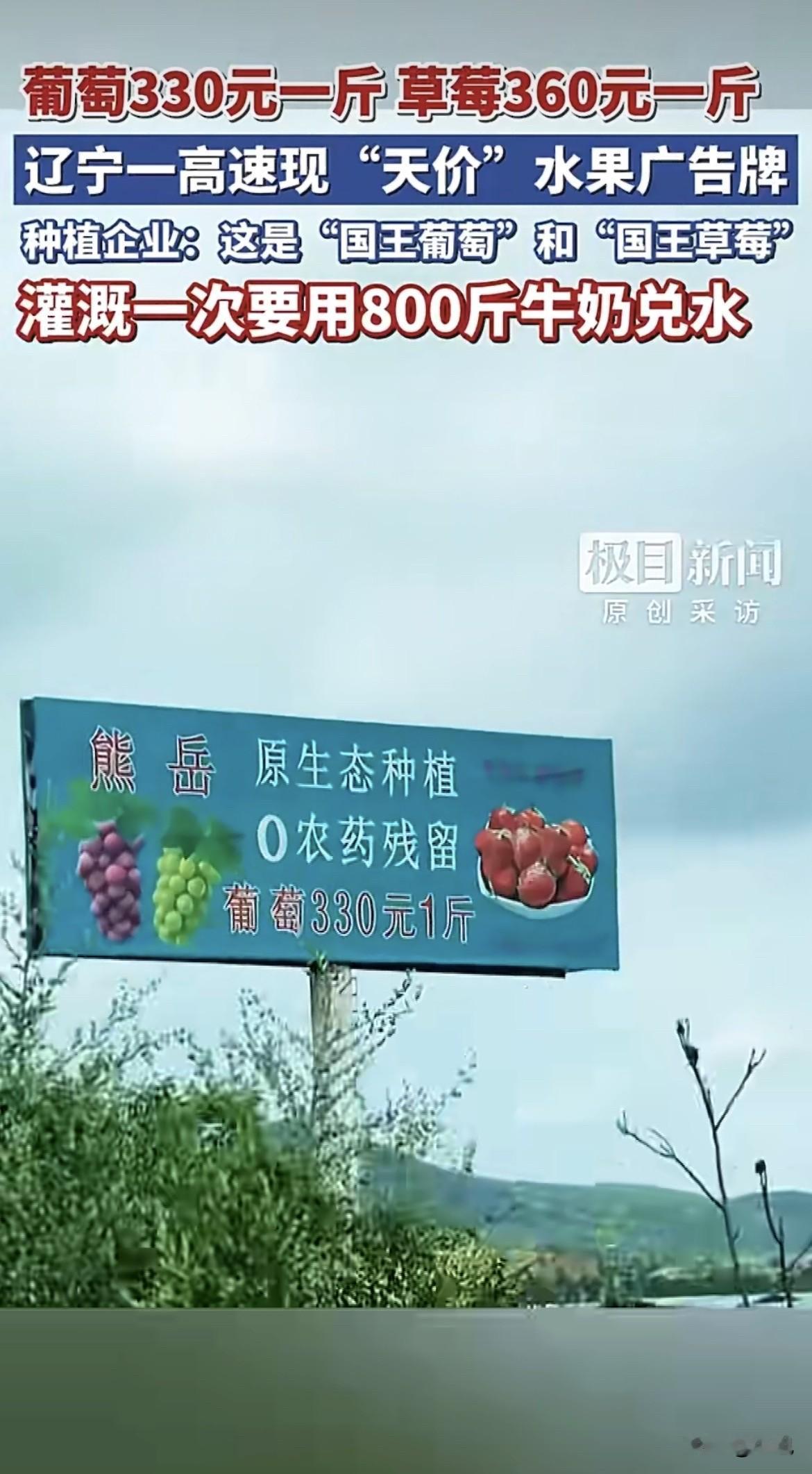 破防了。葡萄330一斤，草莓360一斤，这价格把辽宁一个网友看傻了。2月23