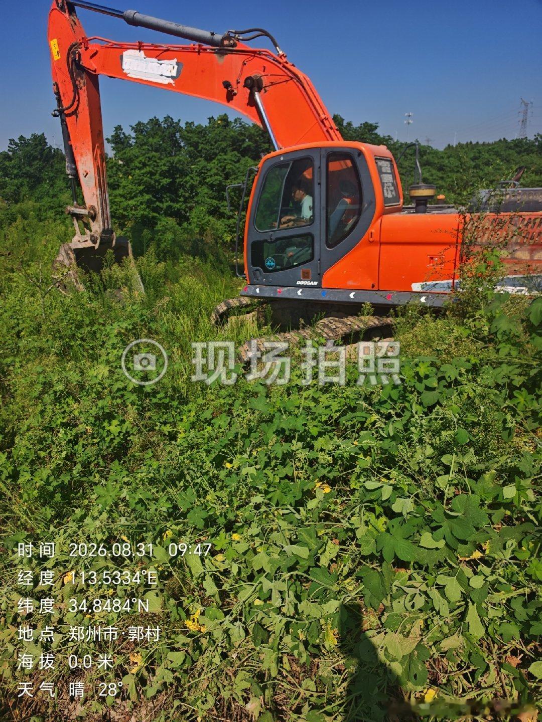 郑州市高新区双桥办事处郭村书记郭卜，二组队长亦超，滥用职权，违规违纪，树木补偿，处置方案并为和我打成