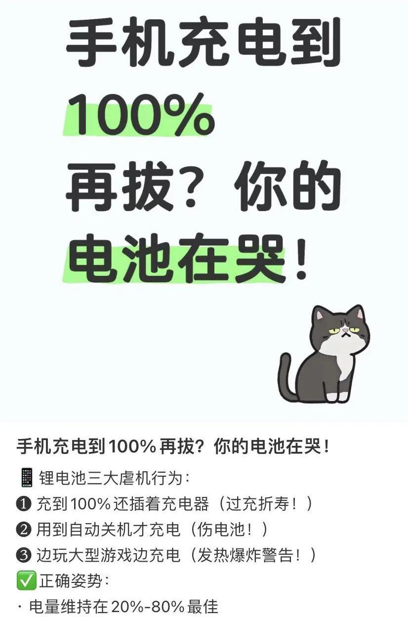 当代年轻人的续命仪式：充电宝亮三格都觉得心慌，看见99%电量就跟手机要暴毙似的。