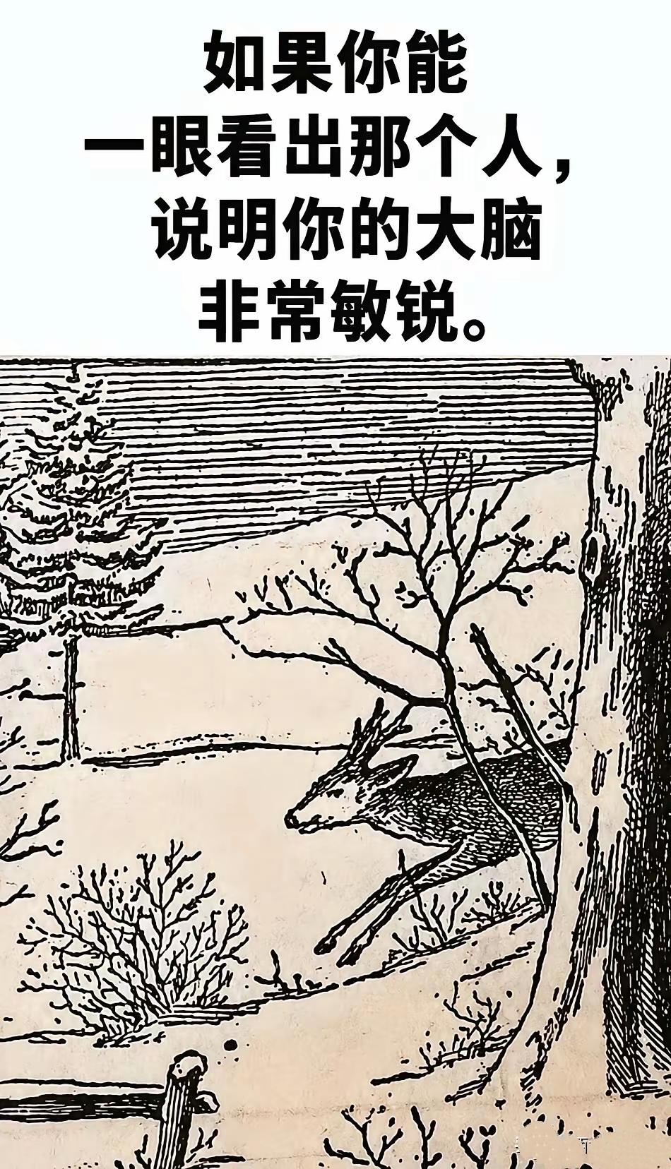 据说大脑敏锐的人才能看出图里的人！很多人盯着看半天没发现🤯眼力测试脑洞谜