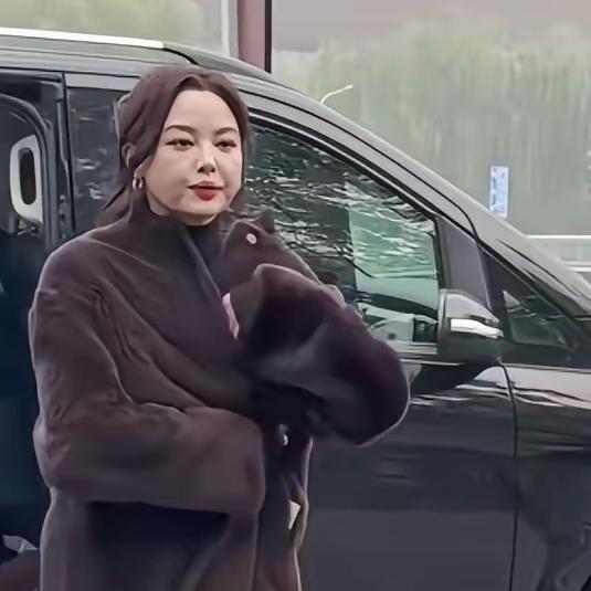 辛芷蕾咋也想不开，去医美了?整张脸跟灌胶了似的，饱满过度，苹果肌都快支撑不住