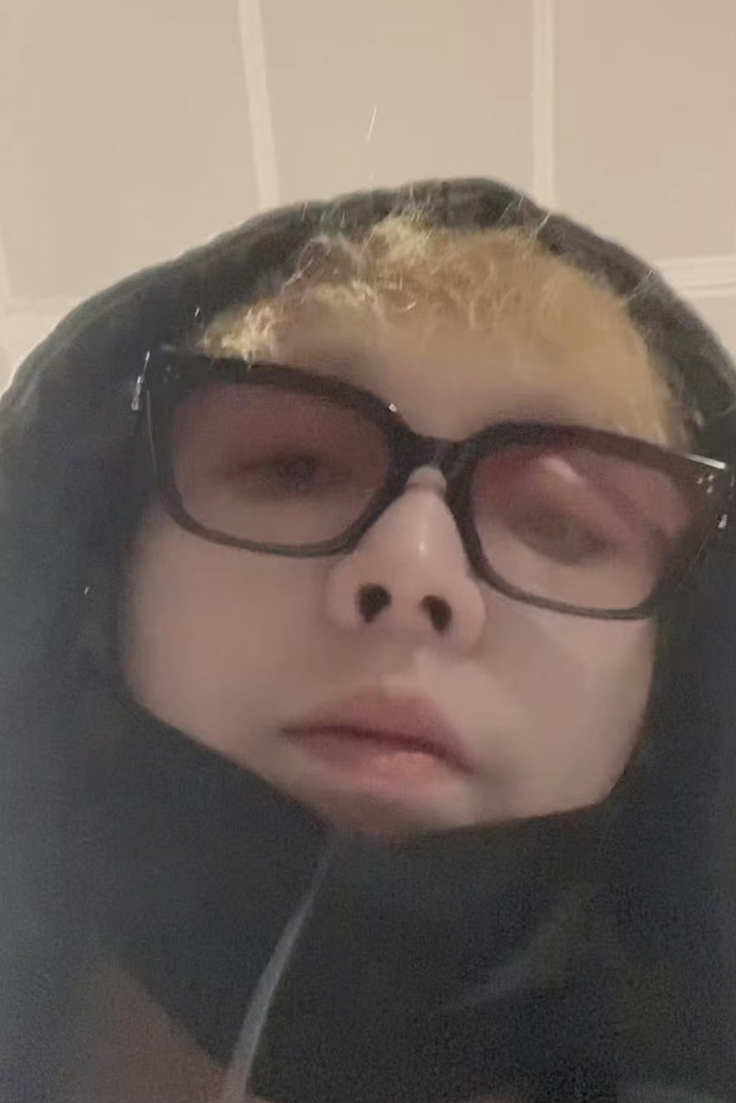 各位我是一只偷偷被我妈咪带着的小狗半路一边恐吓我让我不许呜呜叫不许扒拉她胸