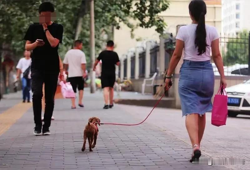 宁可养猫养狗，也不养孩，这样的年轻人时下多吗？我妻子有一朋友，家庭条件好得不得