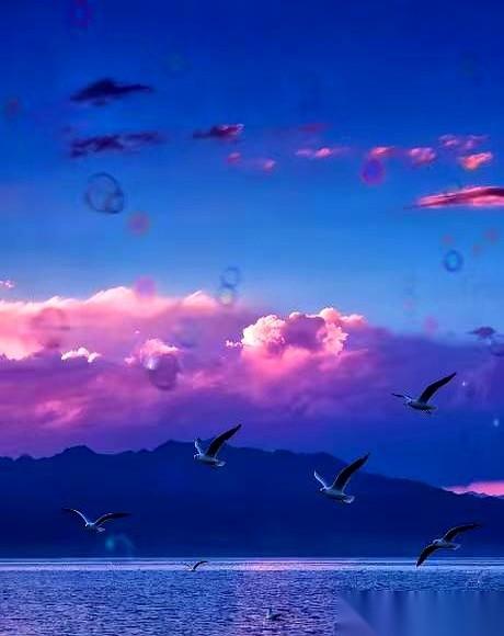 退休了，只要家里还有口饭吃，打死也别再出去找活儿干。我这话说的有点绝，但你细品