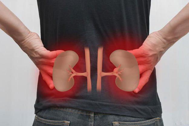 谁说的高血压不能不补？一剂良方，从冬至吃到立春，把亏虚的肾阳补回来，浑身都有劲