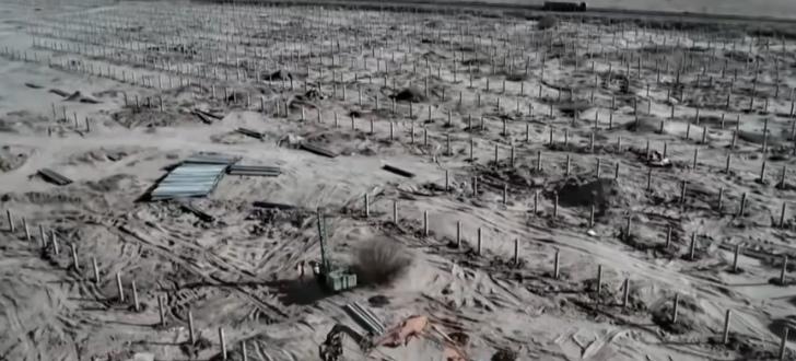 内蒙古沙漠里的光伏板，不光能发电，还能给底下的植物遮阴保水。“板上发电、板下治沙