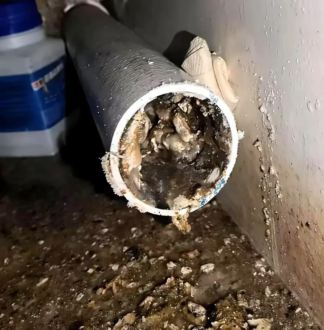 邻居把油锅直接怼热水冲，油花顺着下水管一路往下，不到俩月整栋楼掏一次油疙瘩，三百