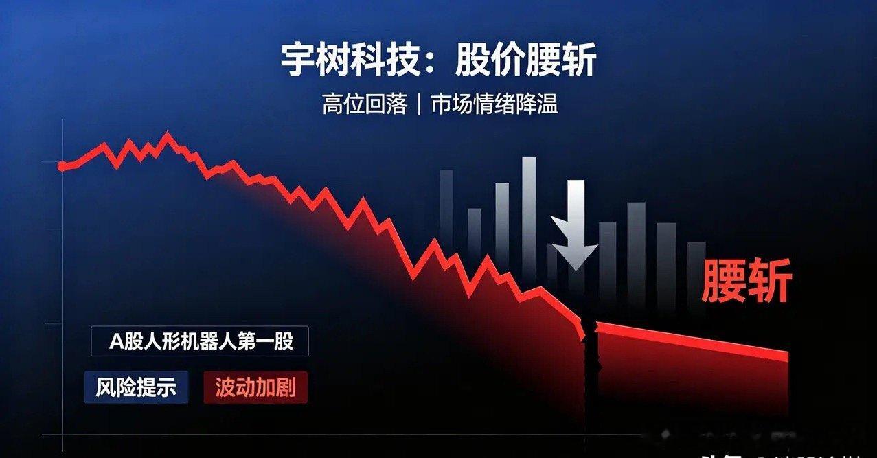关于强烈建议宇树科技私有化退市的呼吁:鄙人1999年进入A股市场，股龄