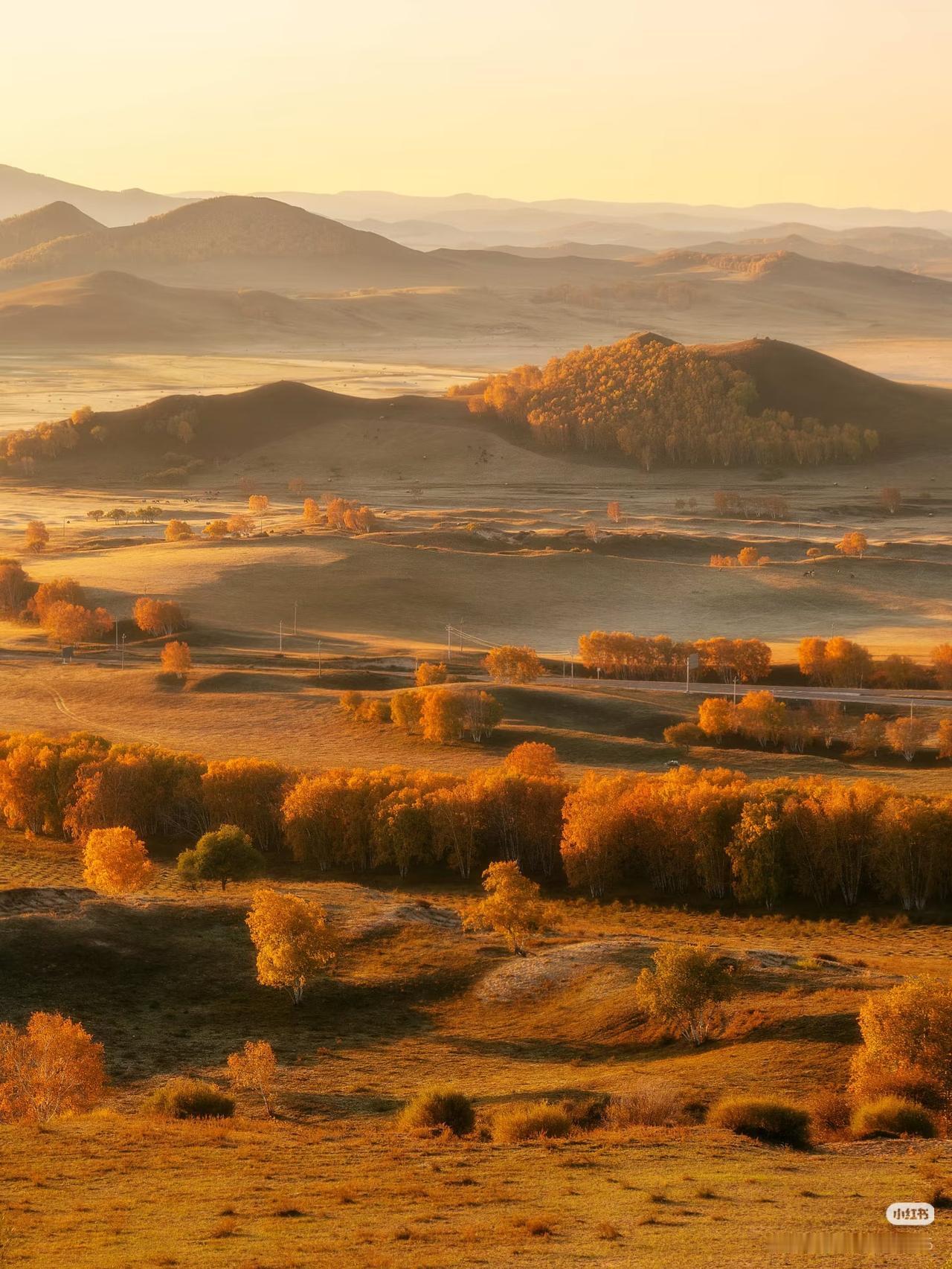 乌兰布统之秋🍂北方的金色油画秘境如果秋天有形状，那一定是乌兰布统的样子。