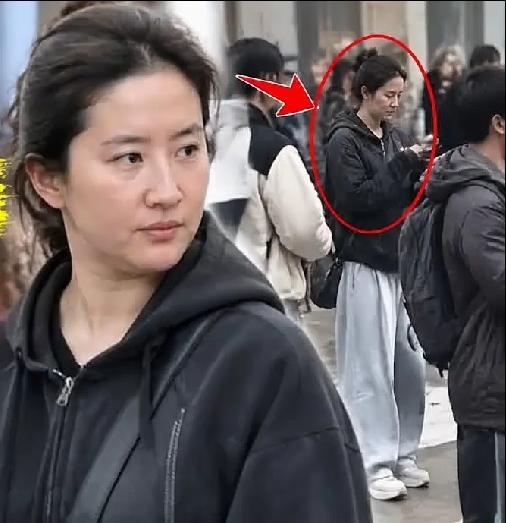 素颜的刘亦菲，路人拍摄的镜头下，也是一个普通人，没有了电视上那种不食人间烟火的气