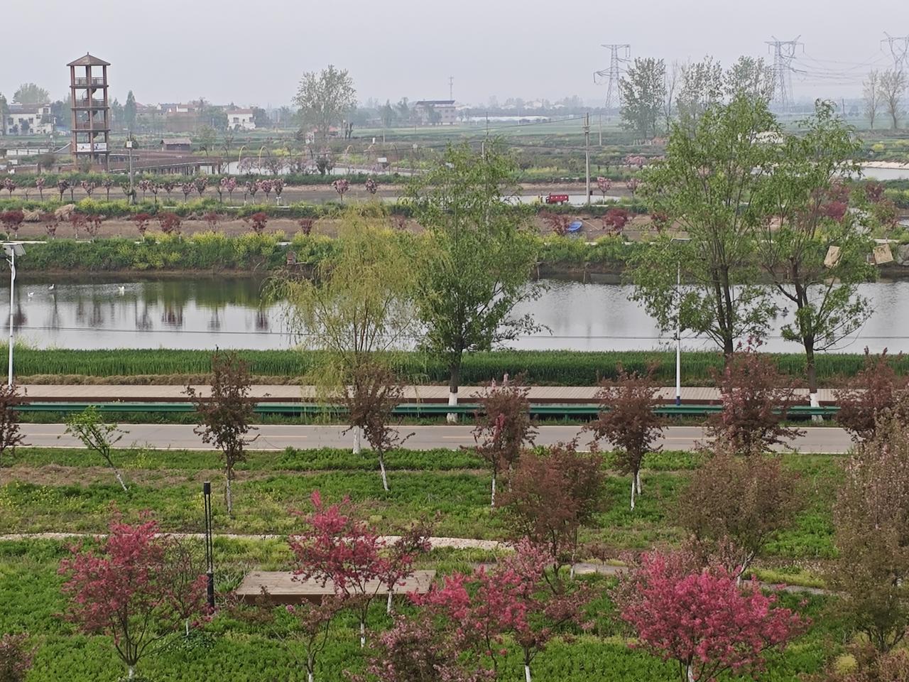 为什么一心扑在教学上的老师往往在职称路上走得格外艰难他们把时间都给了讲台