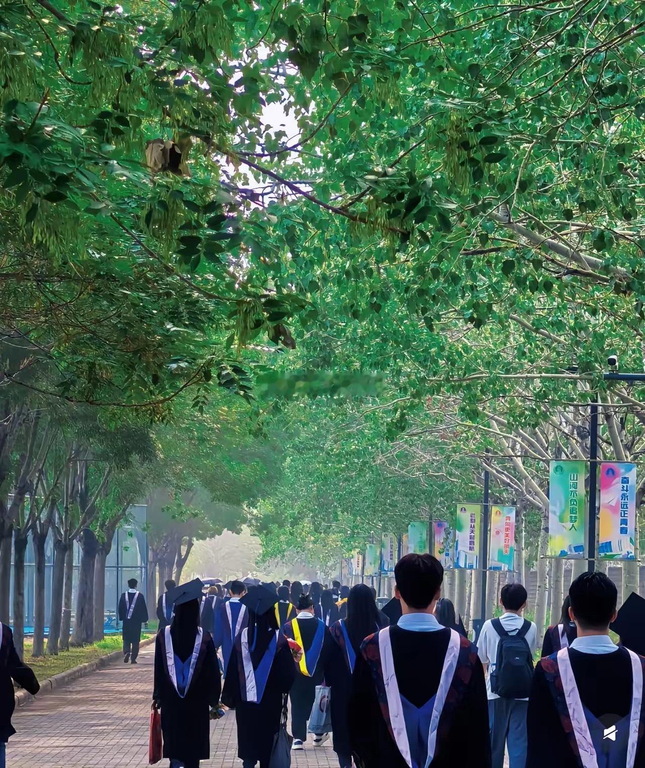 全国录取人数最多的大学·第1名：长沙理工大学（湖南）：10,884人·第2