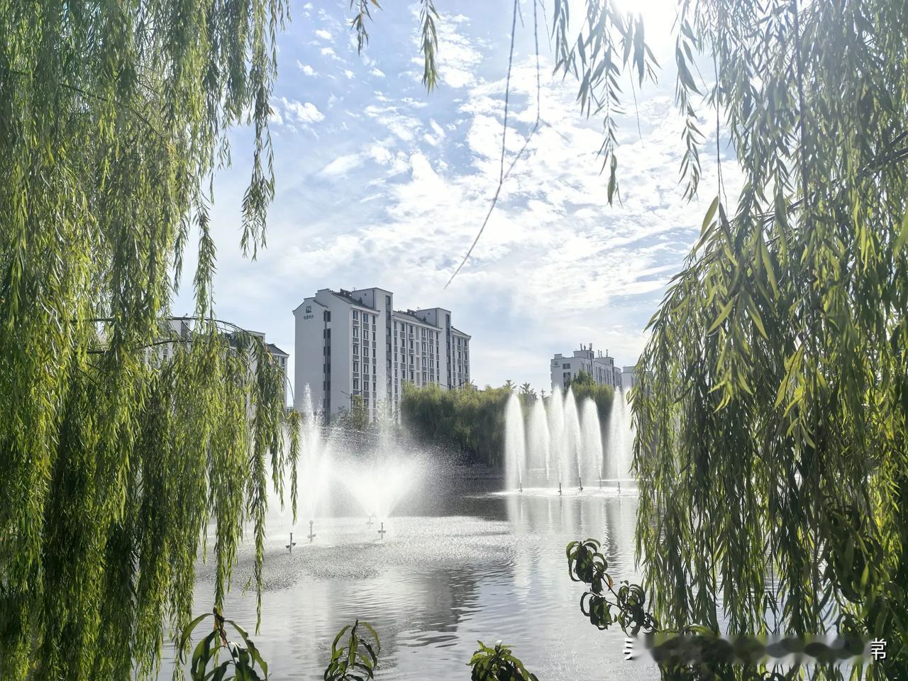 最近开始练习“深蹲”的我，为了鼓励自己，能坚持每天练习深蹲。在网上寻找与“深蹲”