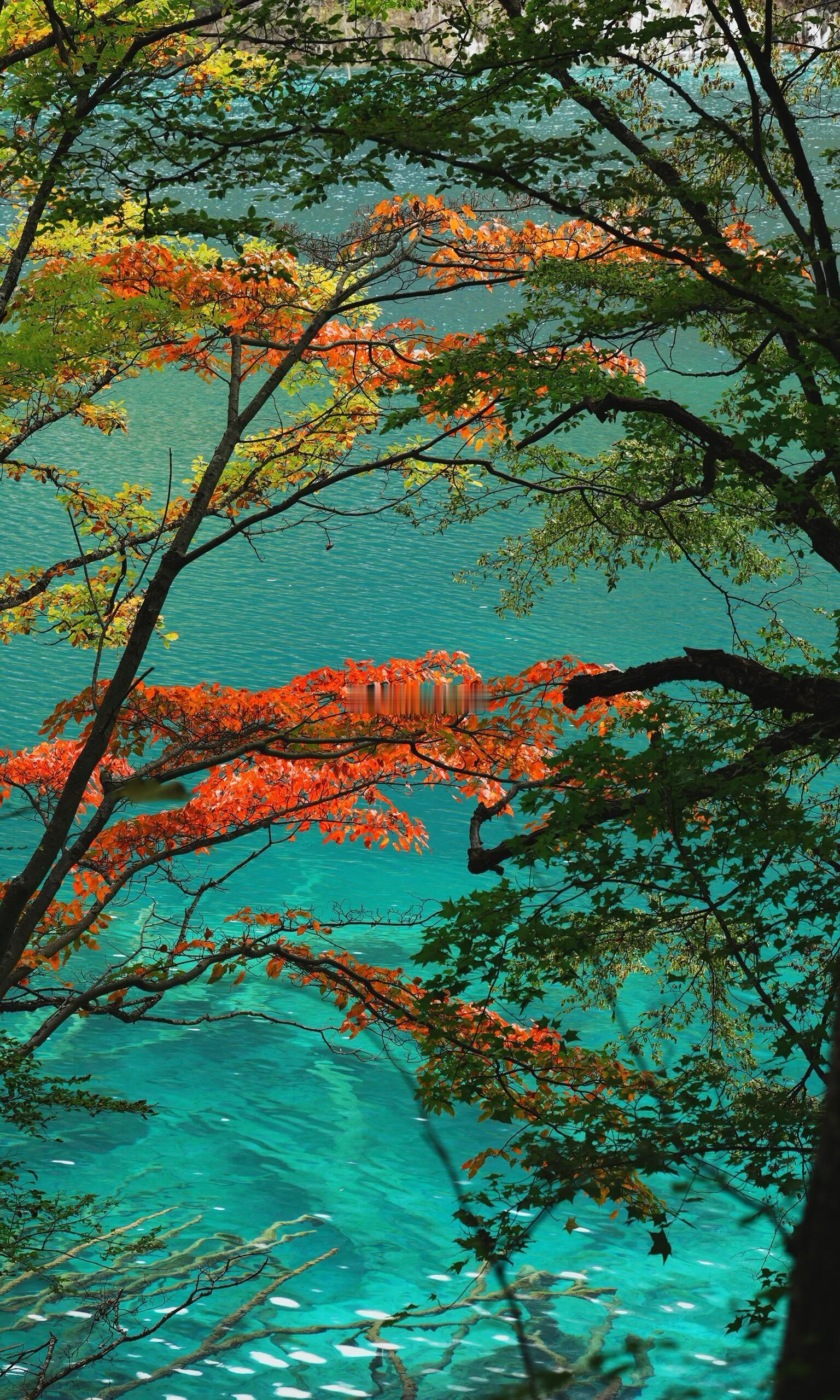 在九寨沟环游五彩童话世界在九寨沟环游五彩童话世界​​​