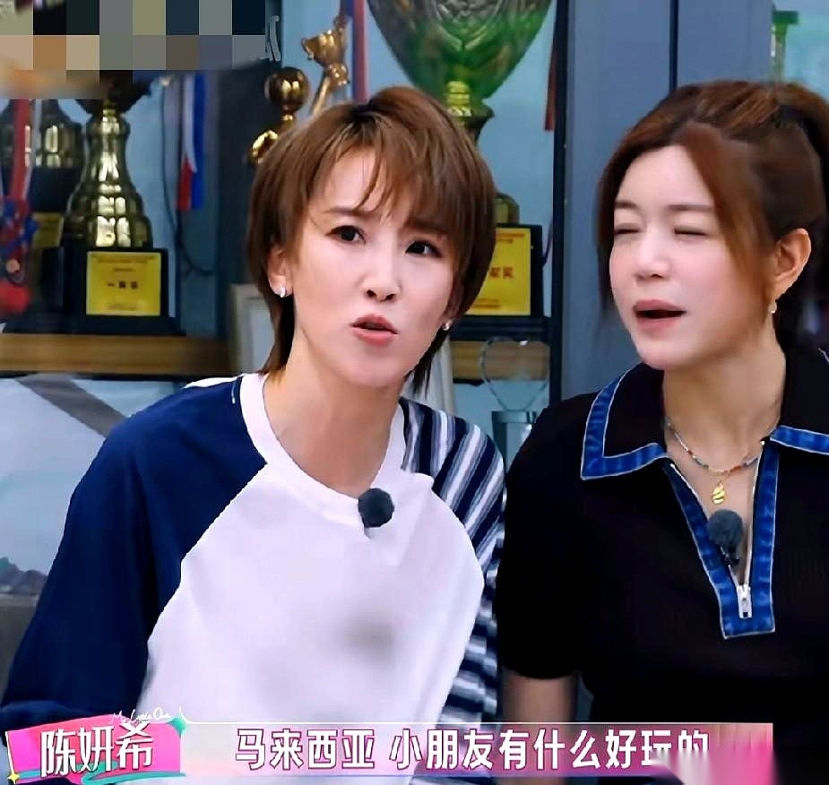 看了谢楠和陈妍希的一段闲聊，终于懂了有钱人家的小孩，为什么很少沉迷手机。谢楠聊起带娃，主打一个“物理
