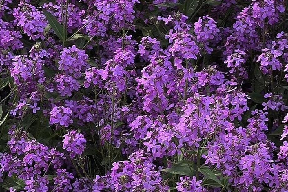 男人能忍住多久？不联系一个他喜欢的人。开始的时候，他会拼命的忍，熬，一天，两