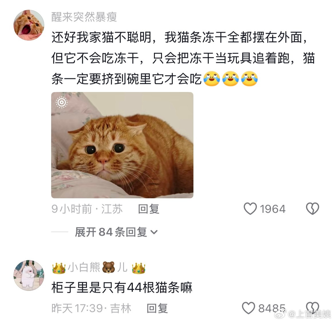 爱你老己只有小猫是真的听进去了哈哈哈哈哈哈哈！！！