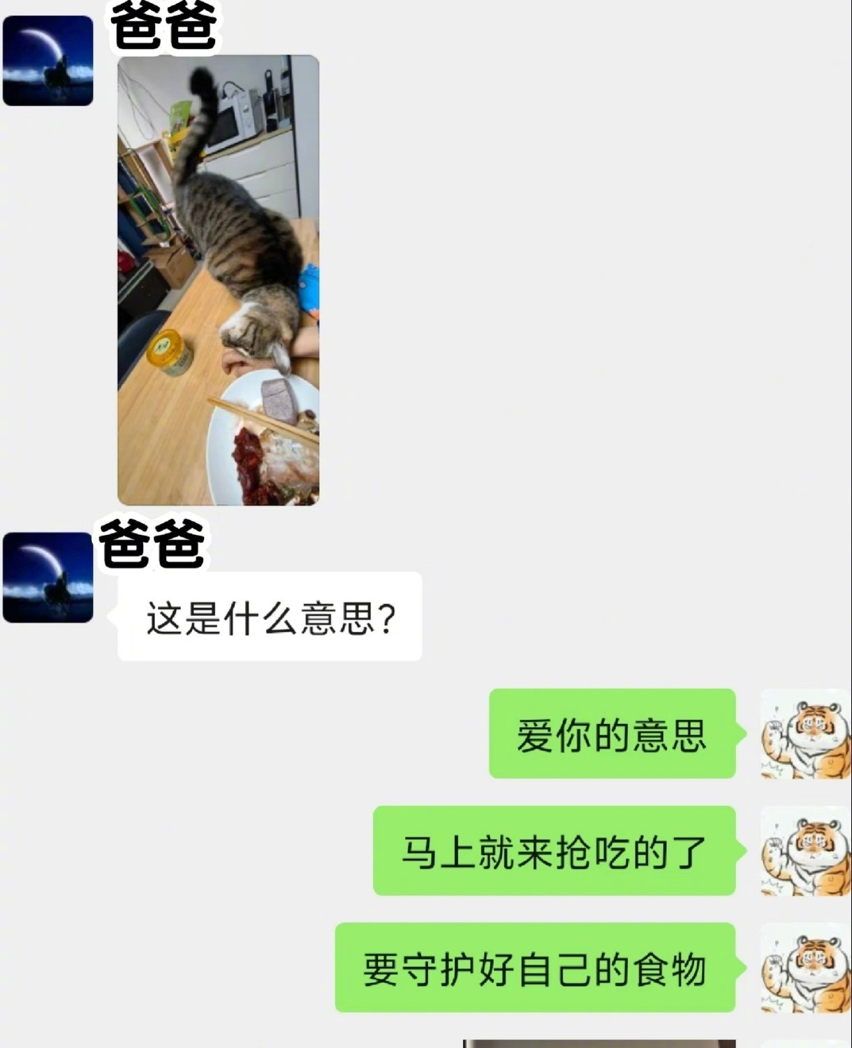 爸妈照顾小猫也要工作留痕