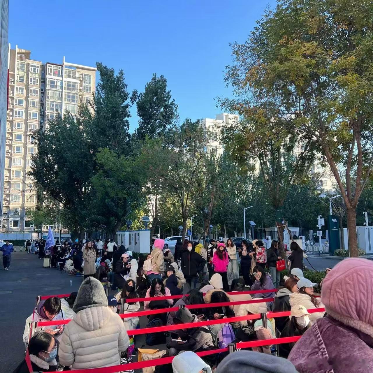 王鹤棣北京品牌活动王鹤棣北京线下人气王鹤棣北京线下人气，可以的，🤩🤩​
