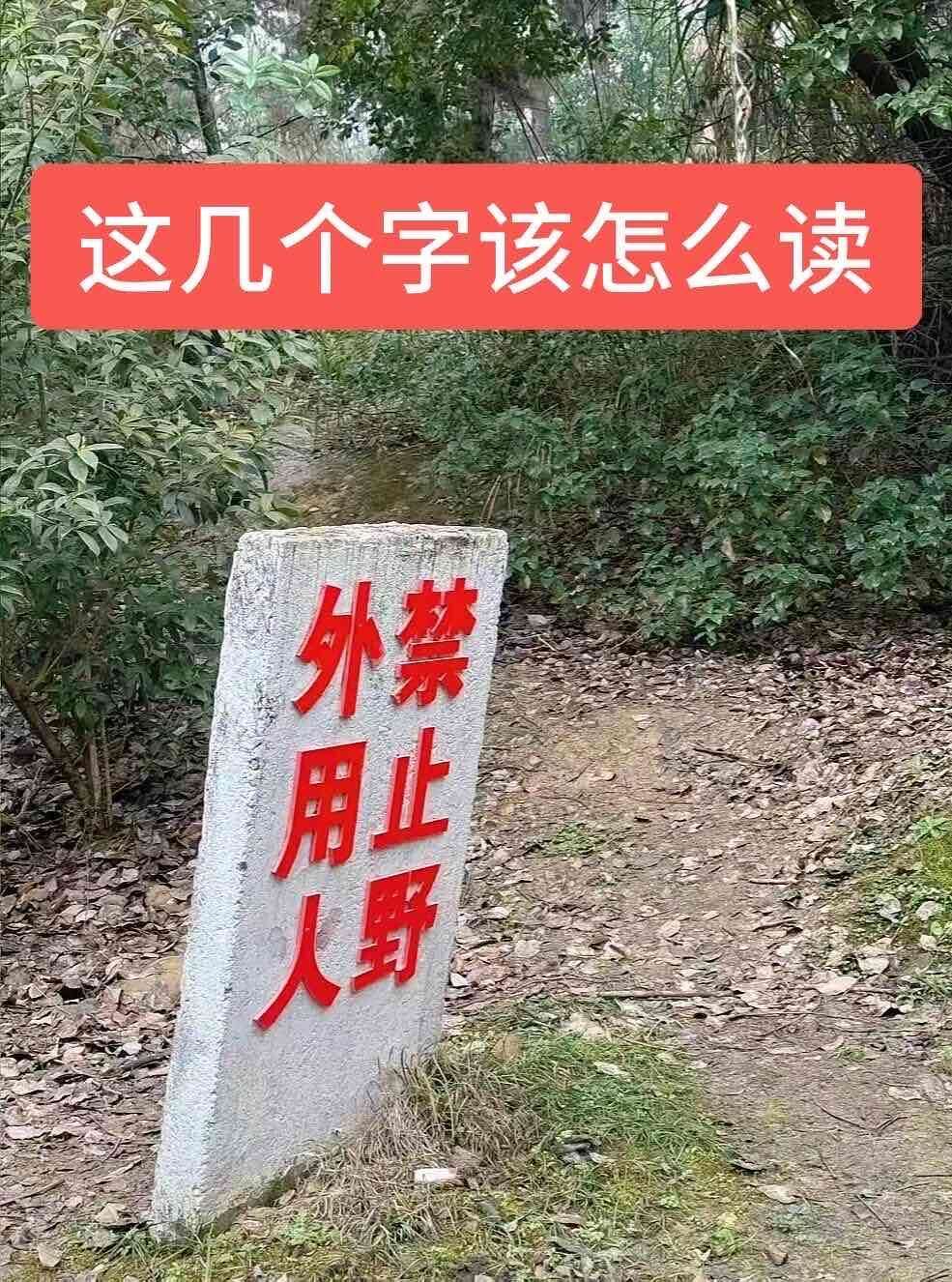 不是，这几个字连在一起该怎么读啊？