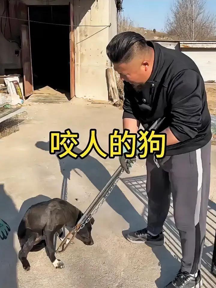 该谈的已经谈了，该买的已经买了，然而必须牢记咬人的狗永远改变不了本性，每一次稍有