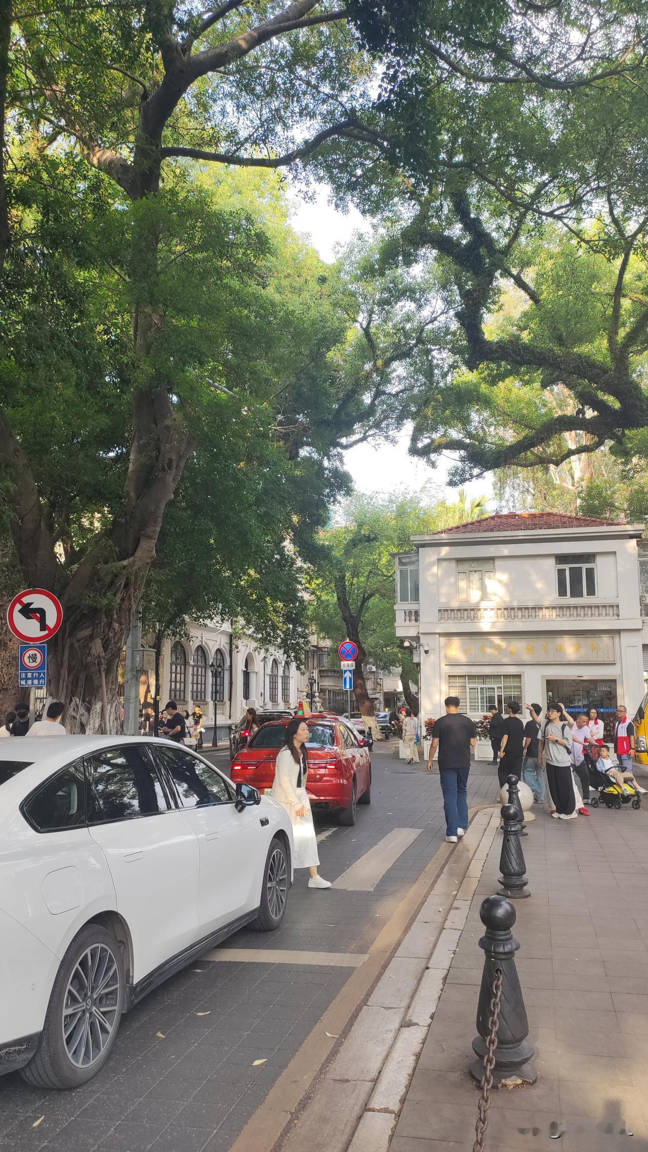 假期生活，游玩广州沙面岛。绿树掩映，独特建筑，魅力十足。