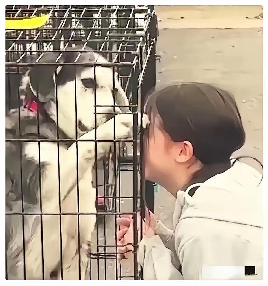太有缘了！女子在狗市上找到了自己失踪两年的狗狗，女子情绪激动的抓着笼子哭着说“我
