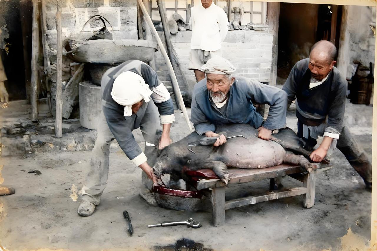 民国时期的农村院落里，一场杀猪的场景正激烈上演。长凳上，三头成年男子全力压制着一