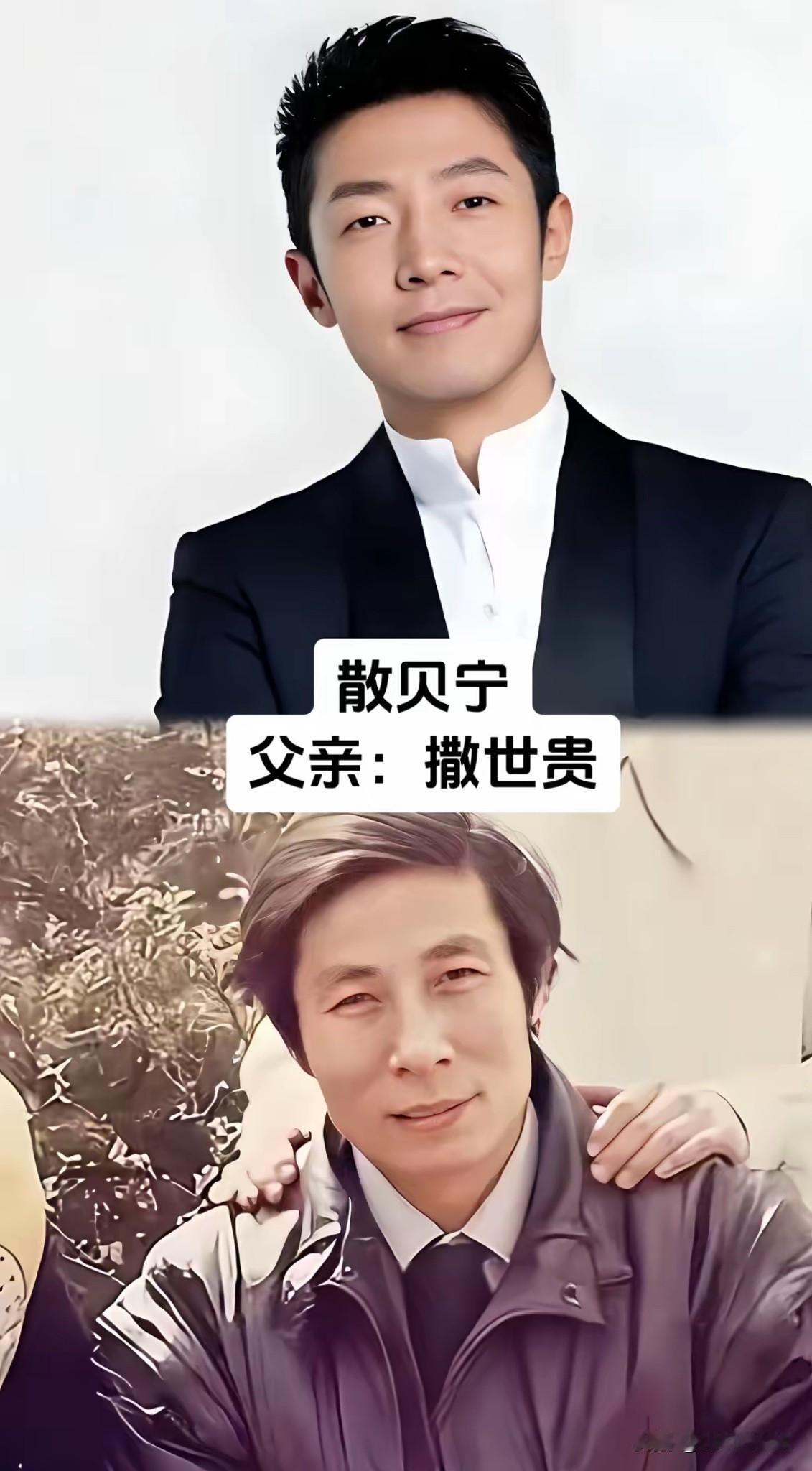 央视名嘴背后的父亲原来家风才是最好的底气我们总看见央视主持人在荧幕上从容大