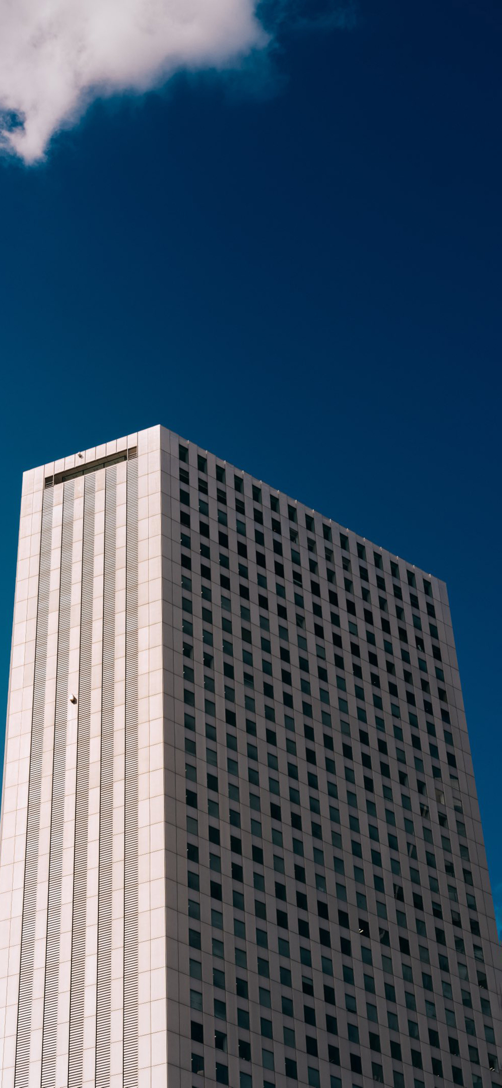 莱分享今日iPhone壁纸分享