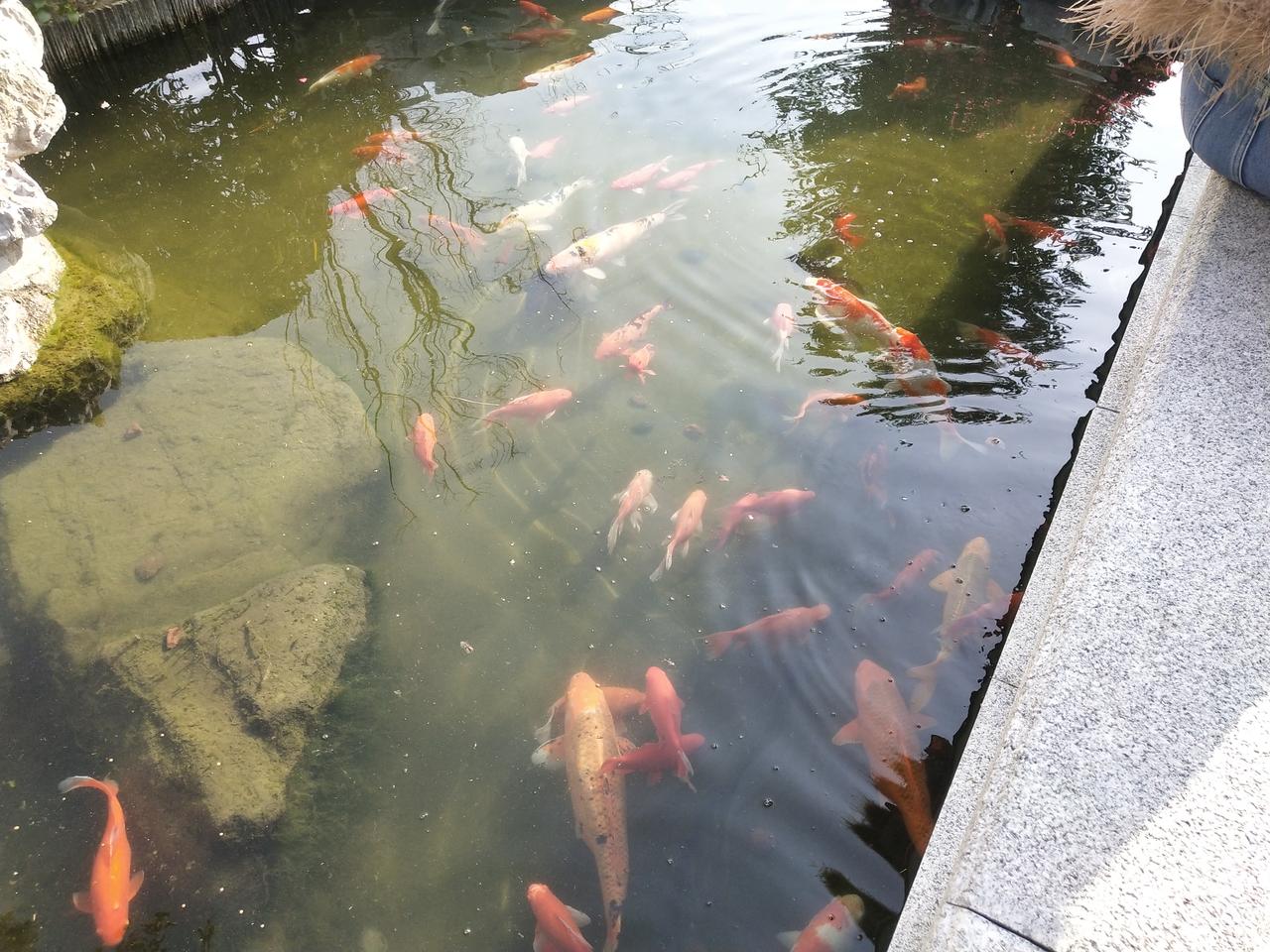 我发现了一件事情，要是儿女有出息了，父母的腰杆也直了。表哥是一个老实人，他自