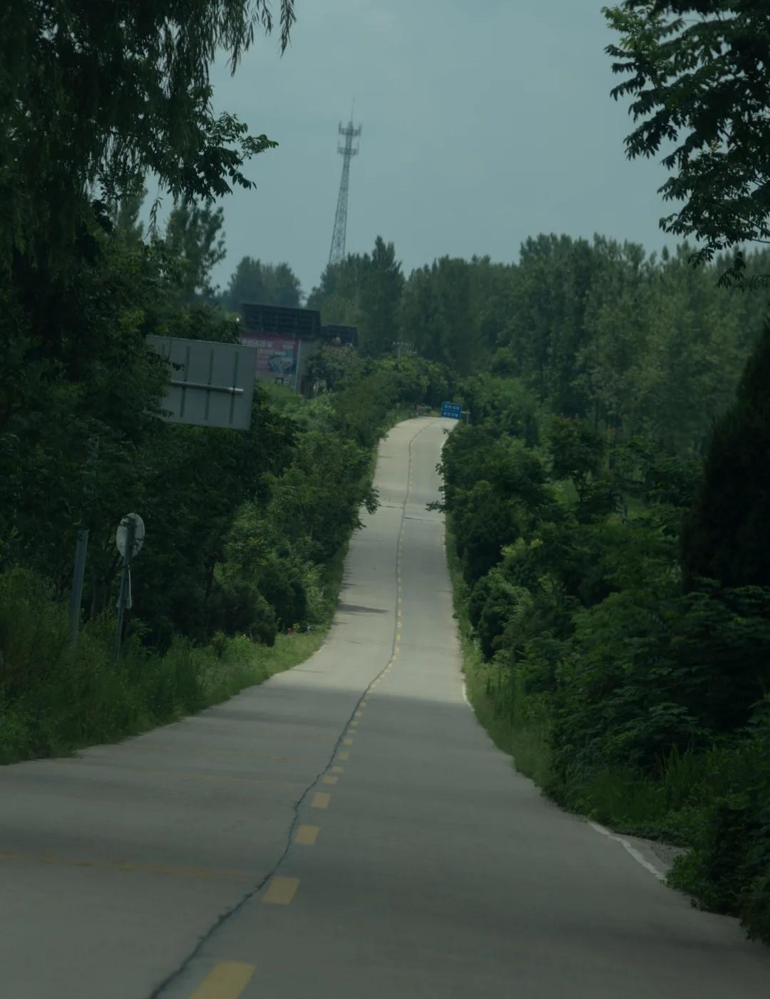 自驾山东，全是这样的路。摄影环行地自驾游行驶在路上公路上的风景在路上