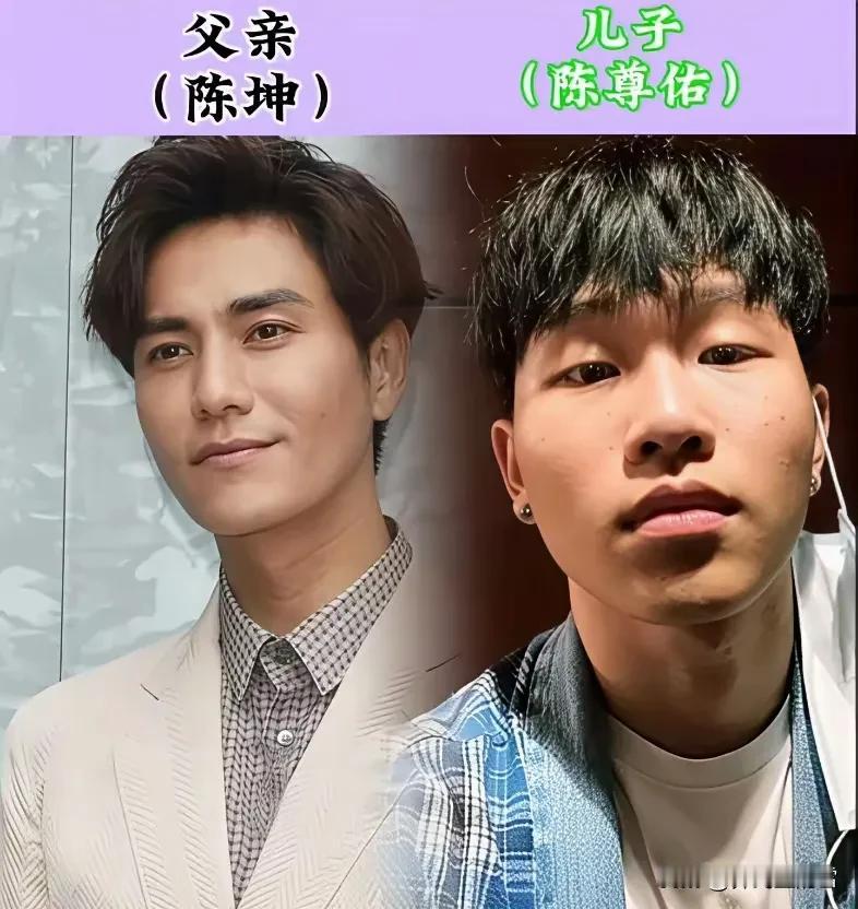陈坤和儿子陈尊佑真的是没有一丁点相像的地方。由此推测，这孩子应该跟他母亲长得