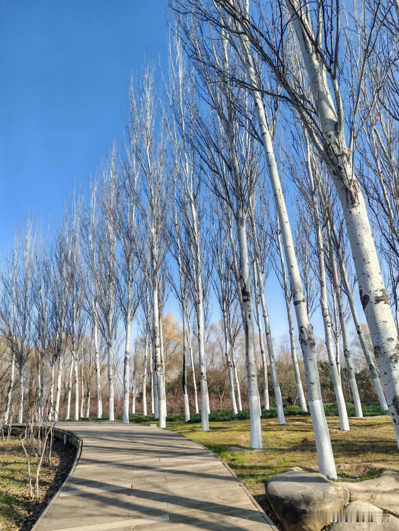 发现没有家里有男孩的家庭不管你有多少存款你都觉得不够用儿子上幼儿园了