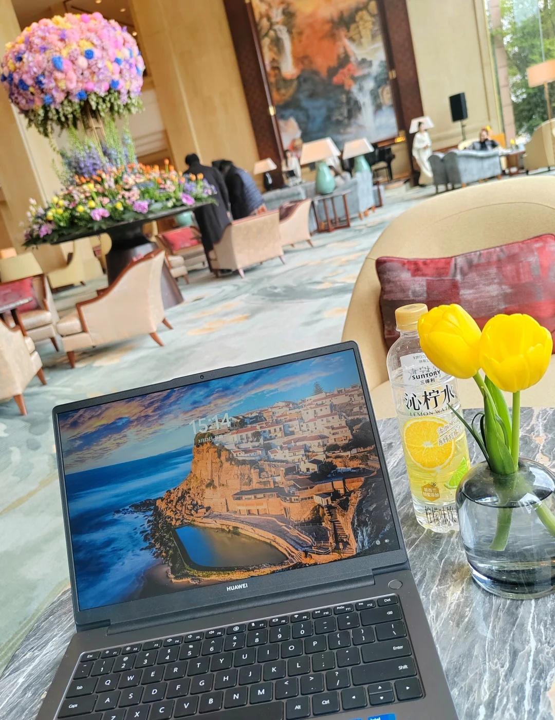 工作生活两不误