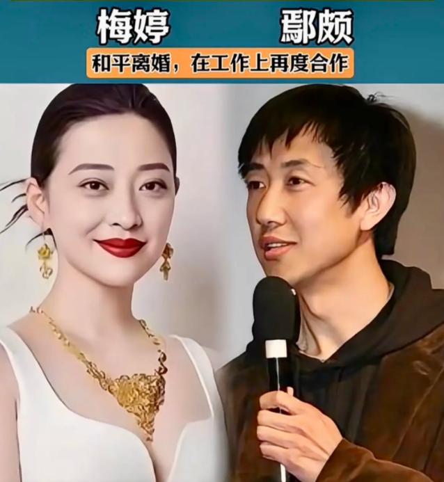 没有能够一起白头到老的明星夫妻们，对对都是郎才女貌，吕良伟和周海媚没有儿女，好基
