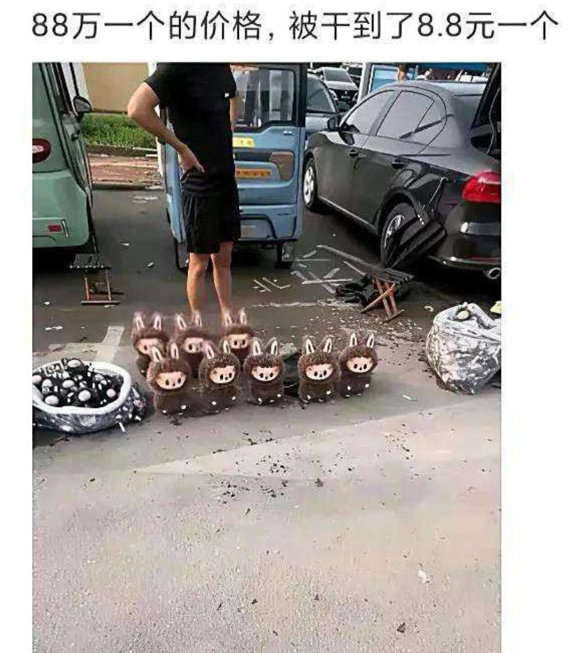 您好智商税交一下！