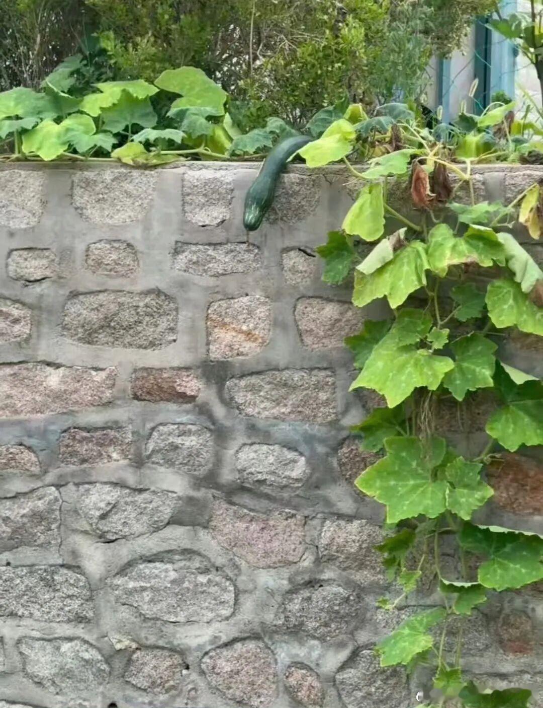 真把我吓到了！迷惑行为大赏​​​
