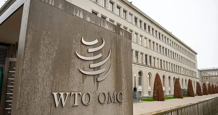 谁不跟谁吃亏! 以前是中国求着加入WTO, 如今中国给WTO定规则