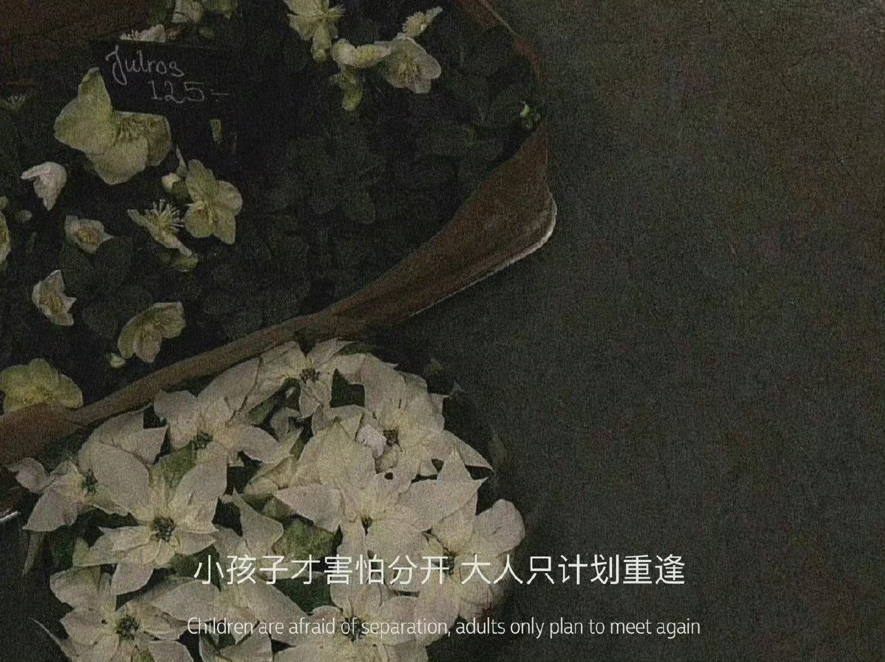 可以安慰男朋友的温暖文案01、有些压力很正常，说出来总会好受一点，无论发生什么我