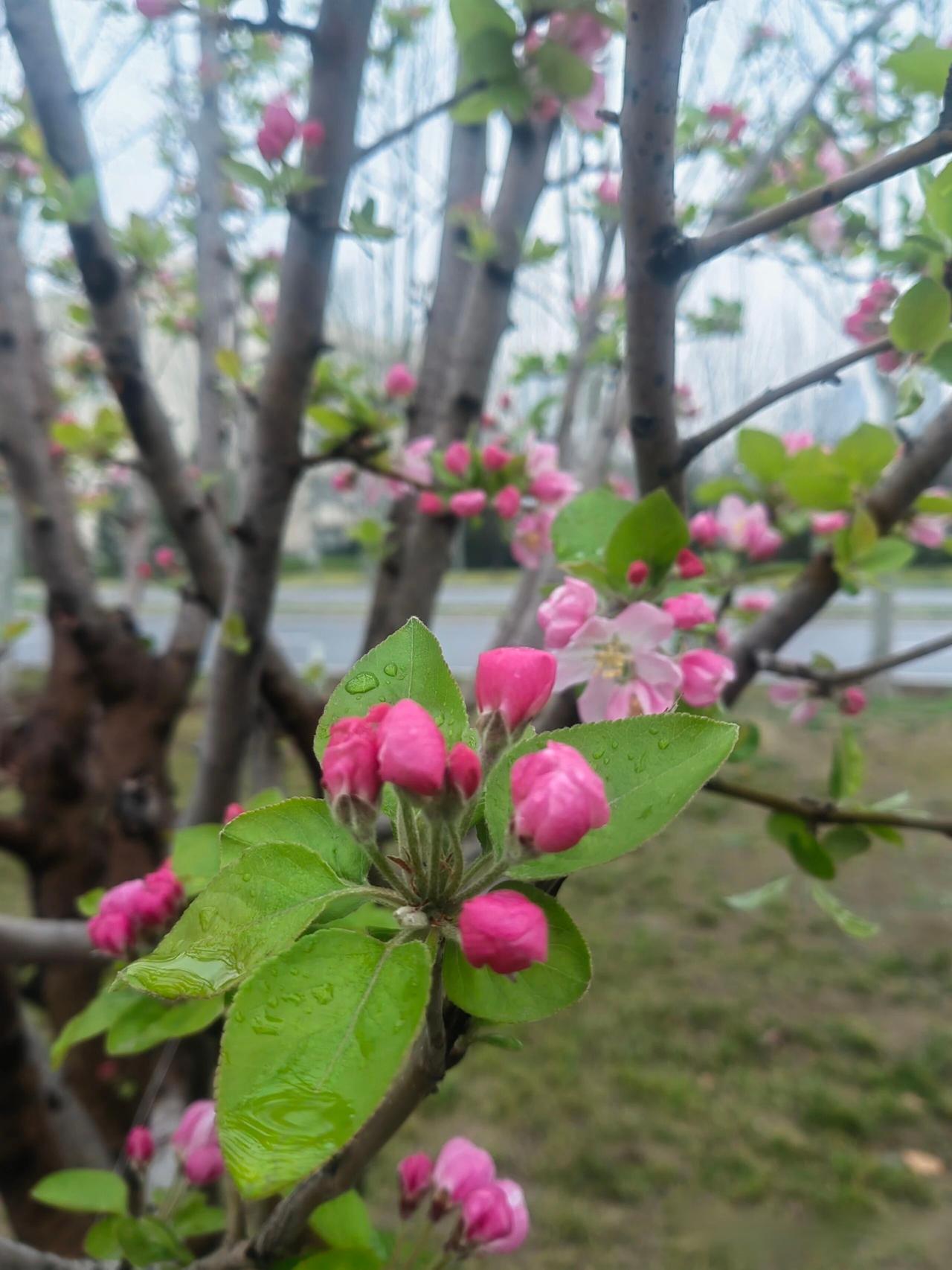 婆婆要求儿媳妇辞职在家带孩子，儿子的一句话让婆婆羞愧不已。张大妈的儿媳妇还有